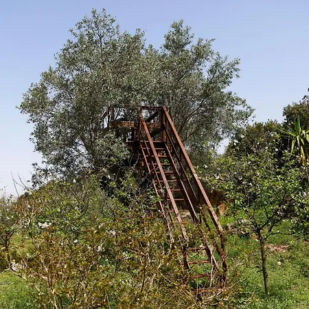 Bed & Breakfast Ola Belem! Cozy Windmill, Stunning Views To Lisboa Caparica